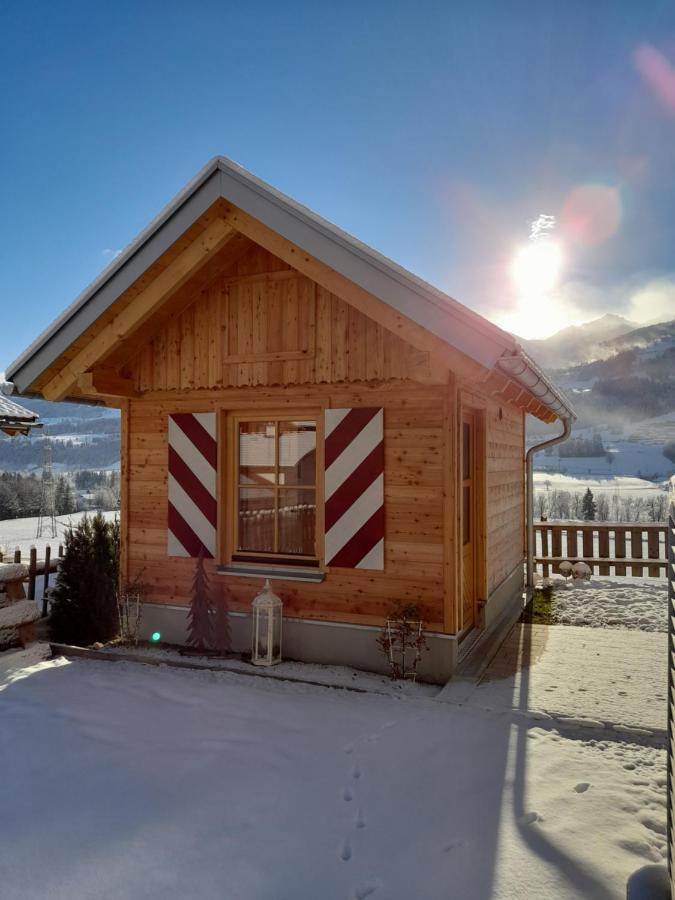 Ferienwohnung Sunnseitn Хаус-им-Энншталь Экстерьер фото