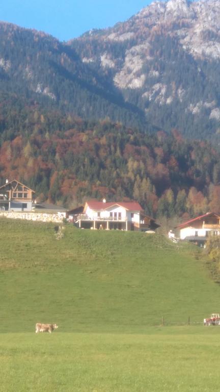 Ferienwohnung Sunnseitn Хаус-им-Энншталь Экстерьер фото
